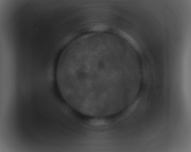 X0000100890354200807081046