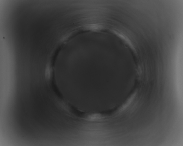 X0000100890355200807081046