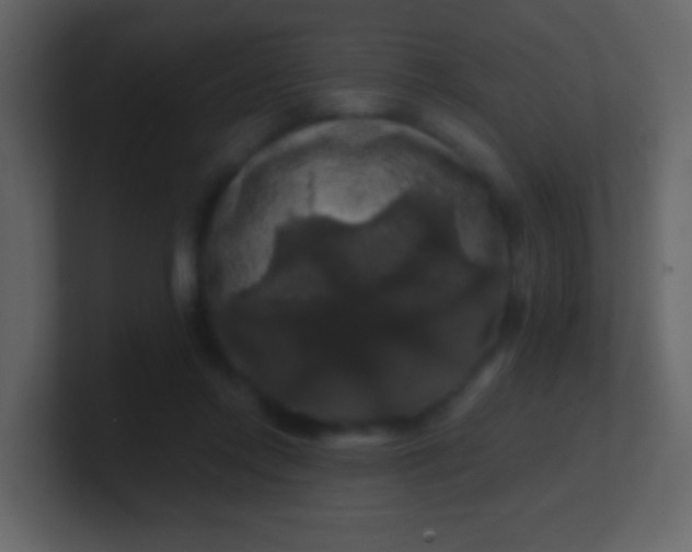 X0000100890358200807081046