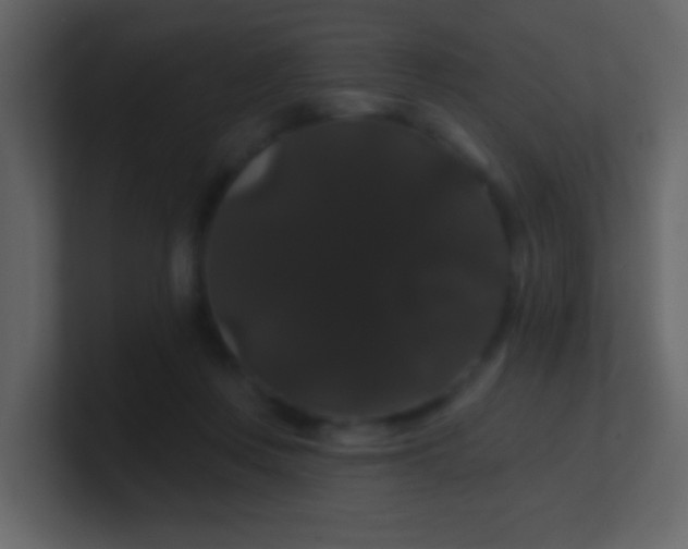 X0000100890359200807081046