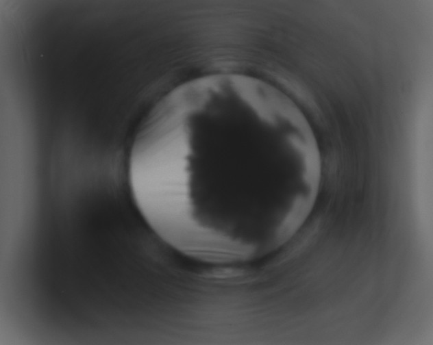 X0000100890361200807081046