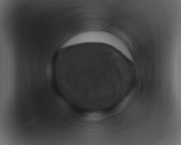 X0000100890362200807081046