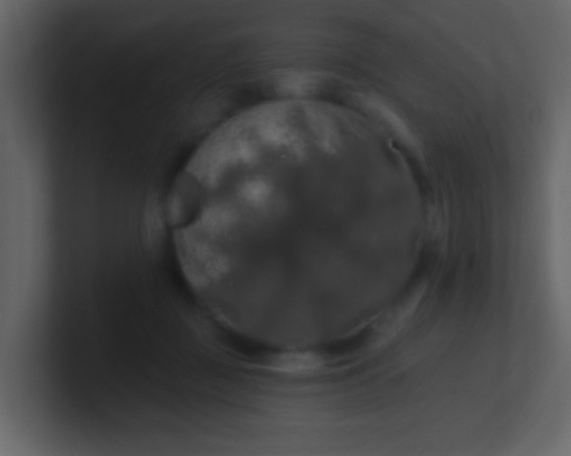 X0000100890363200807081046