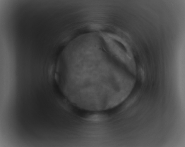 X0000100890364200807081046