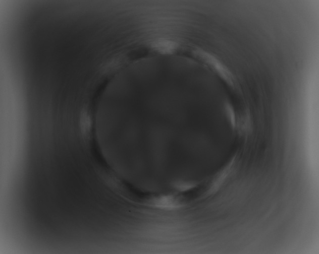 X0000100890365200807081046