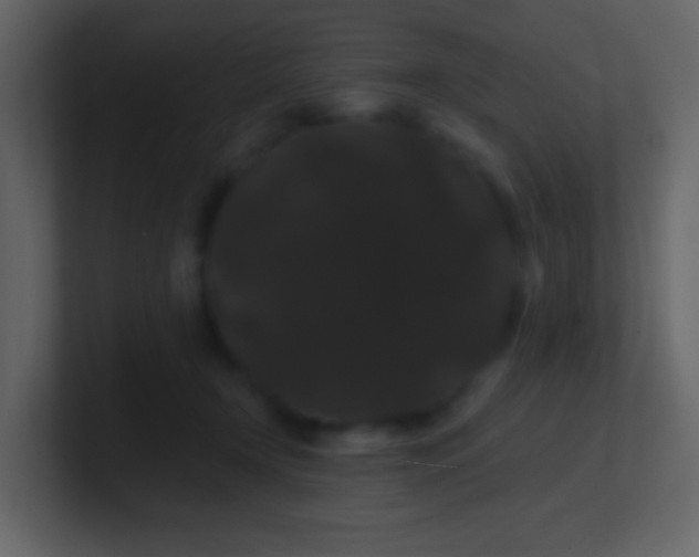 X0000100890366200807081046