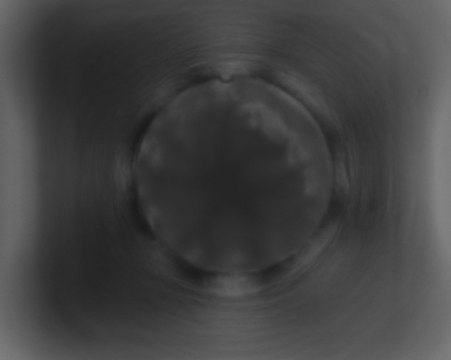 X0000100890367200807081046