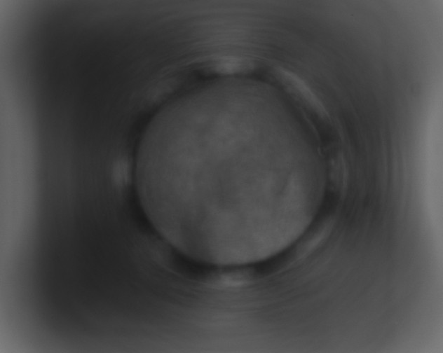 X0000100890368200807081046