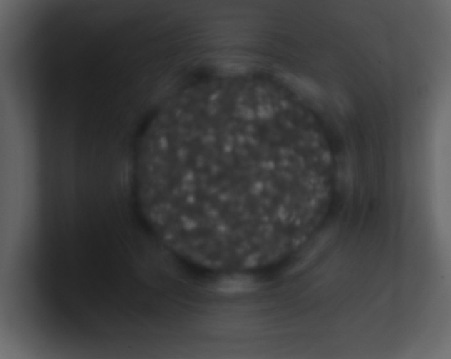 X0000100890369200807081046