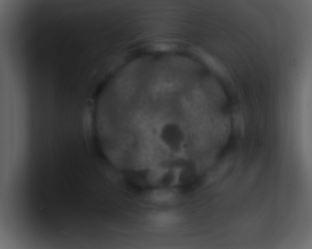 X0000100890373200807081046