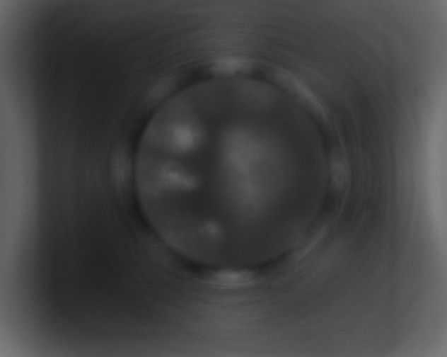 X0000100890375200807081046