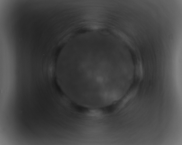 X0000100890376200807081046