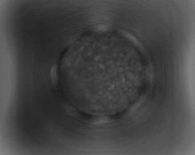 X0000100890377200807081046