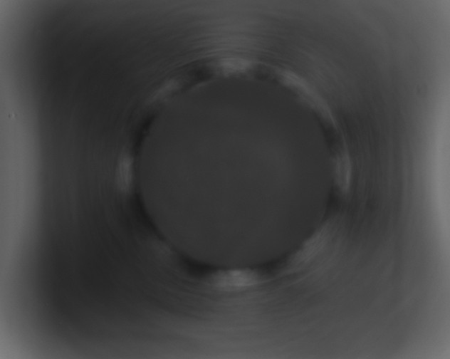 X0000100890378200807081046