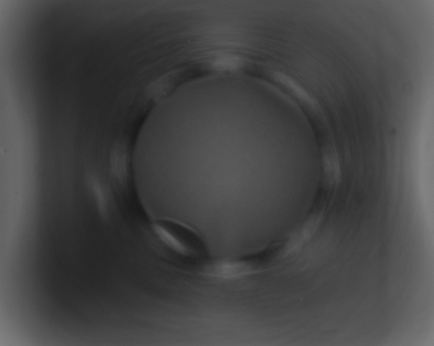 X0000100890379200807081046