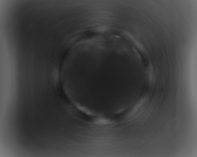 X0000100890380200807081046