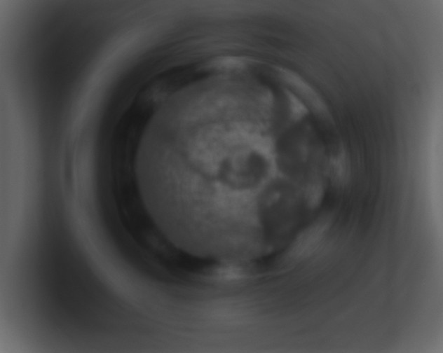 X0000100890381200807081046