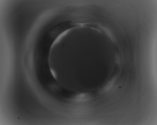 X0000100890382200807081046