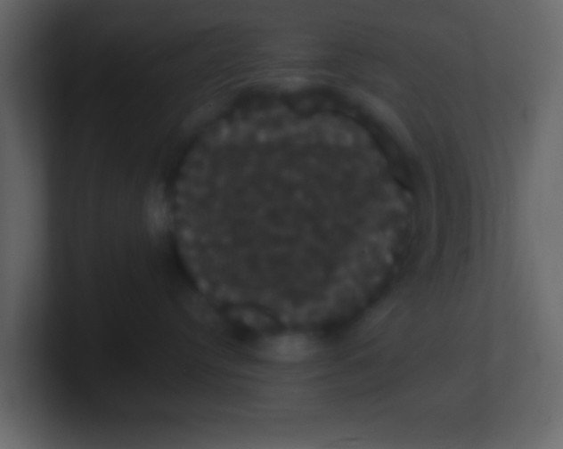 X0000100890384200807081046