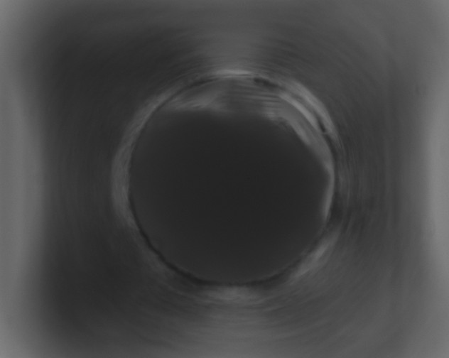 X0000100890385200807081045