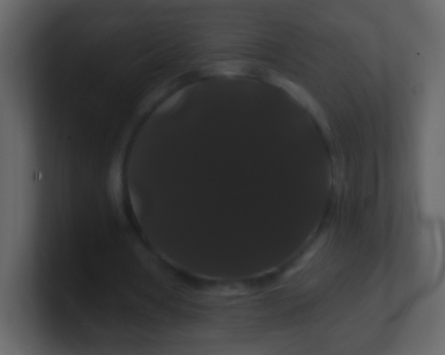 X0000100890386200807081045