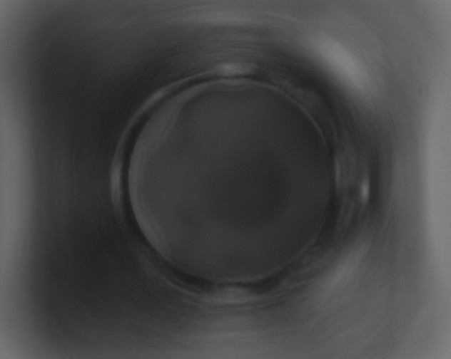 X0000100890387200807081045