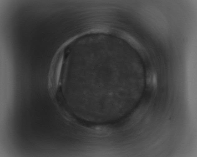 X0000100890388200807081045