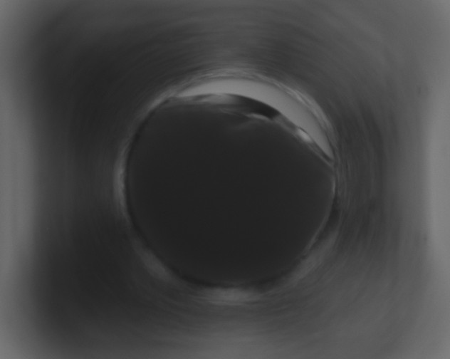 X0000100890389200807081045