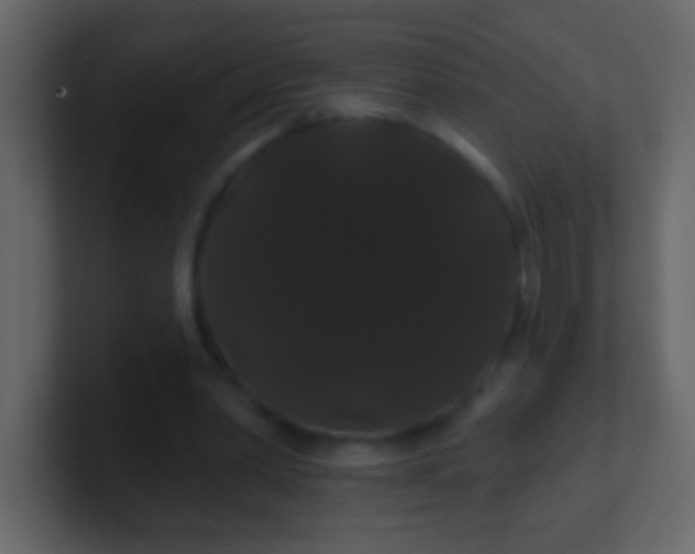 X0000100890390200807081045