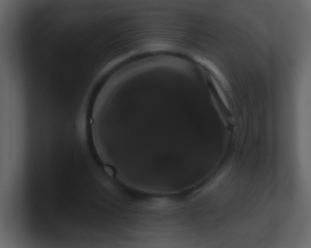 X0000100890391200807081045