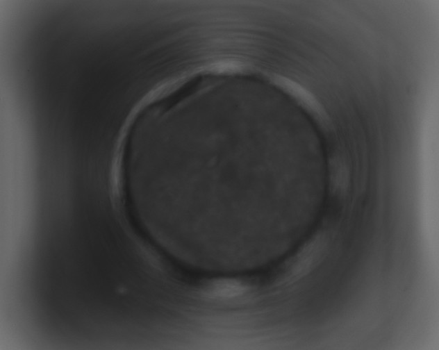 X0000100890392200807081045