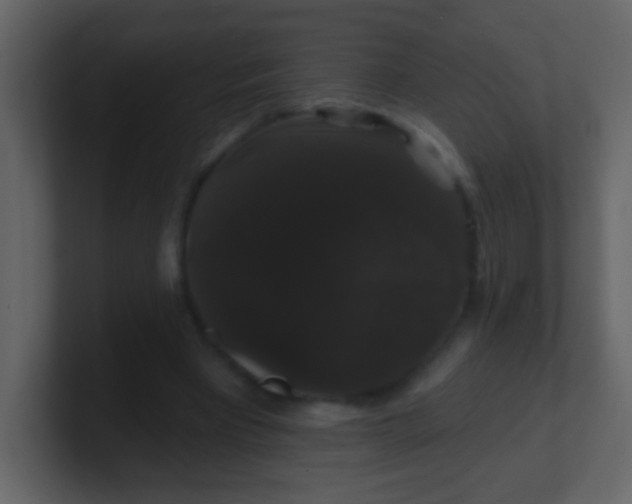 X0000100890393200807081045