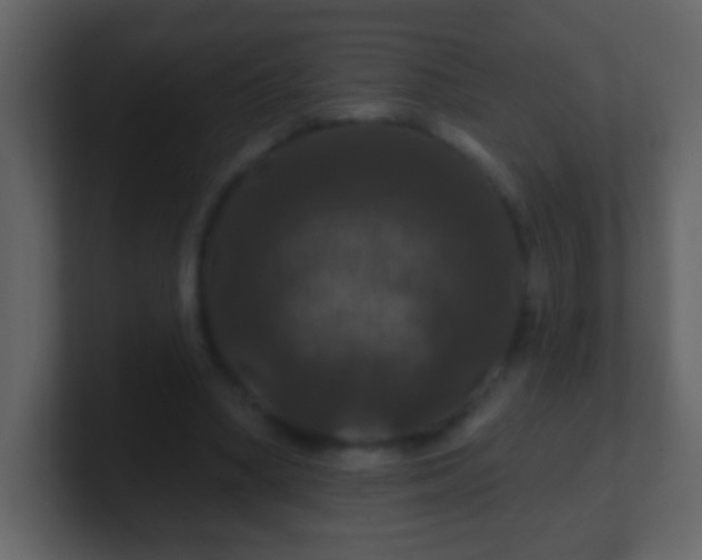 X0000100890394200807081045