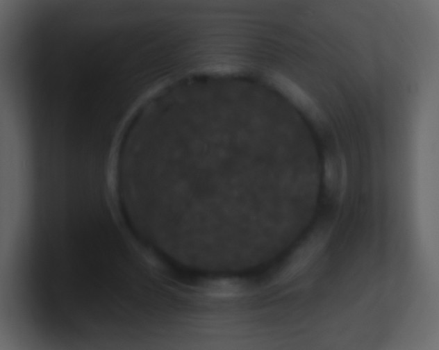 X0000100890396200807081045