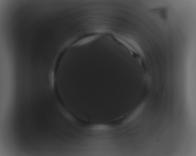 X0000100890397200807081045