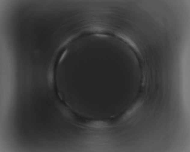 X0000100890399200807081045