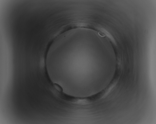 X0000100890401200807081045