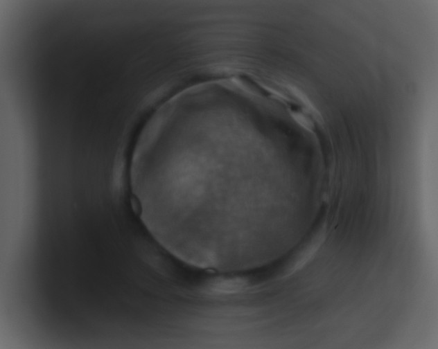 X0000100890403200807081045