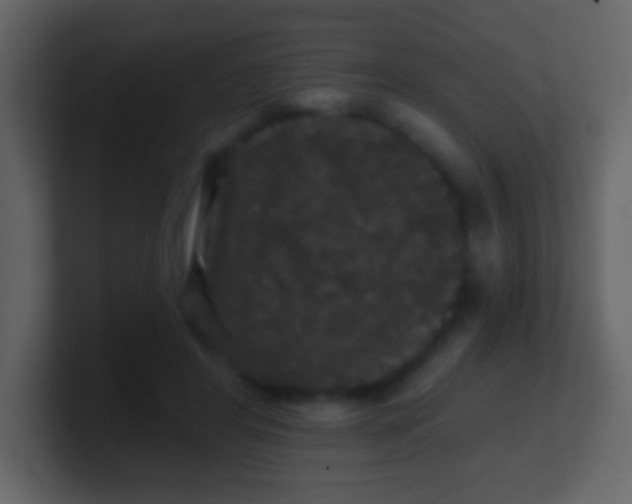 X0000100890404200807081045