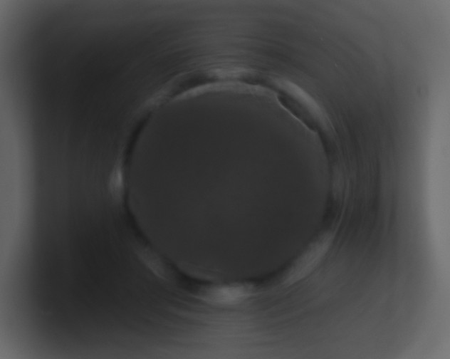 X0000100890405200807081045