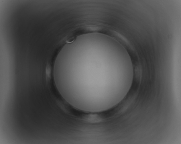 X0000100890406200807081045