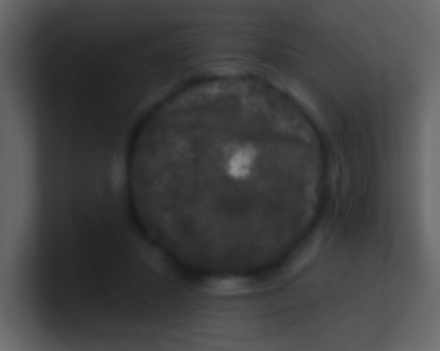 X0000100890407200807081045