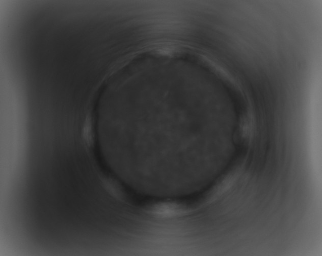 X0000100890408200807081045