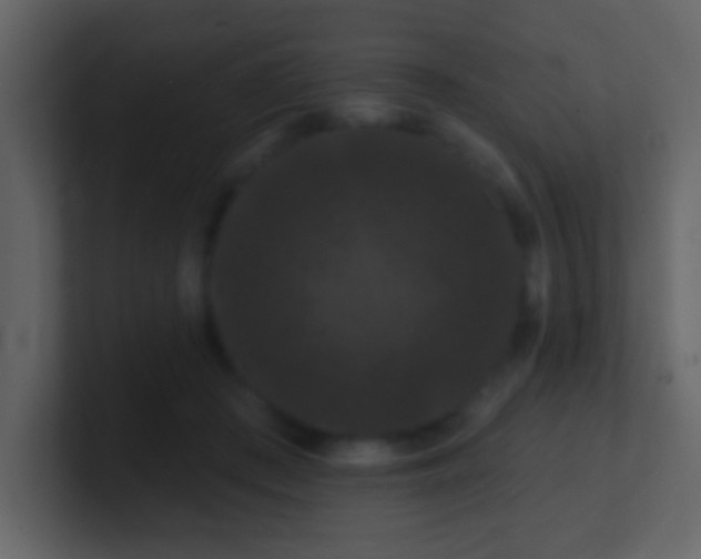 X0000100890409200807081045