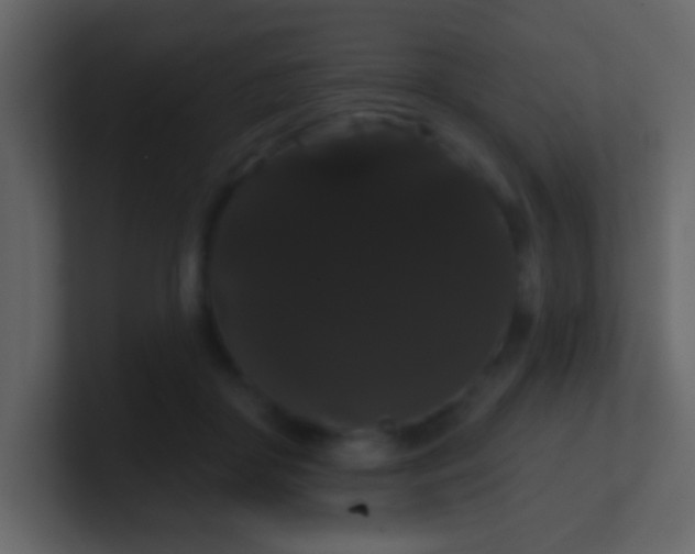 X0000100890410200807081045