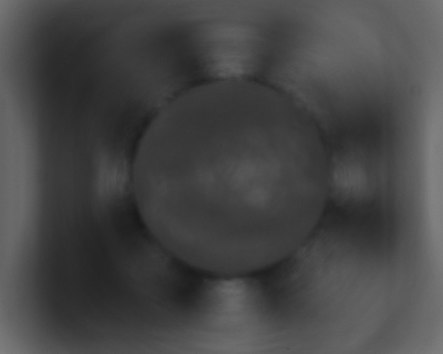 X0000100890411200807081045