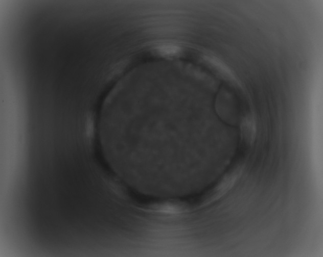 X0000100890412200807081045