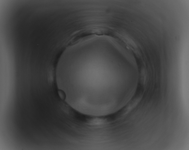 X0000100890413200807081045