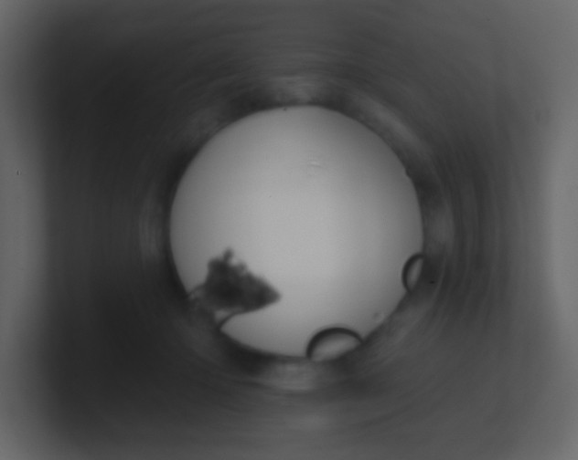 X0000100890414200807081045