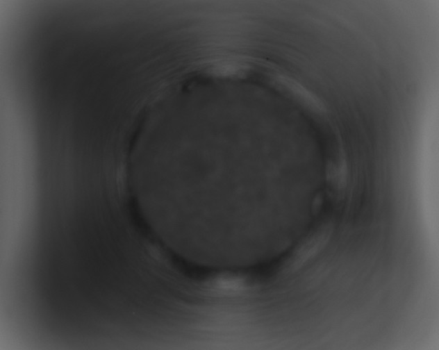 X0000100890416200807081045